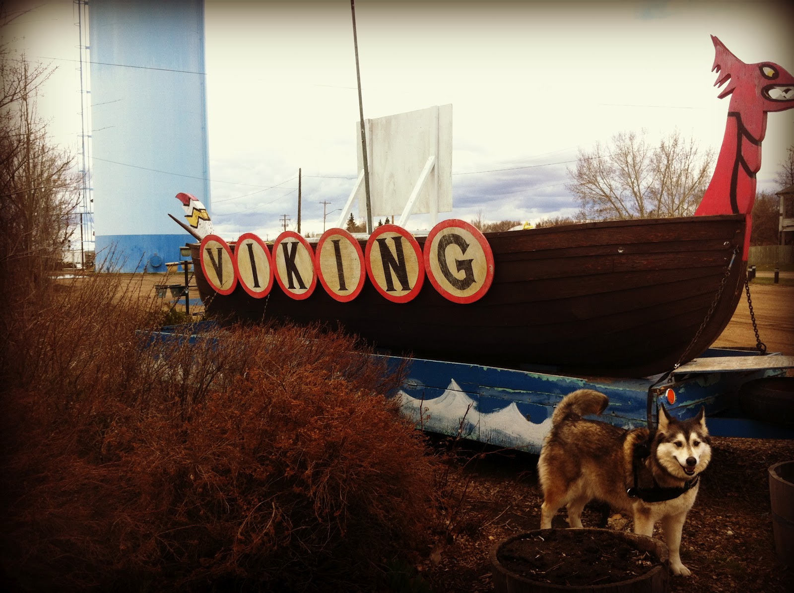 Two Loonies and a Penny Geocaching Fort McMurray, AB Brooks, AB